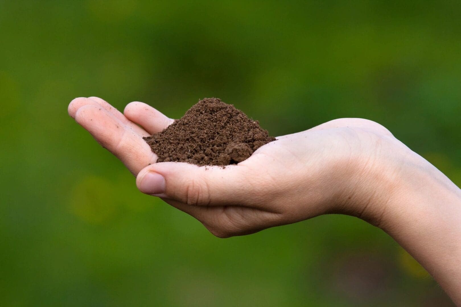 A person holding dirt in their hands.